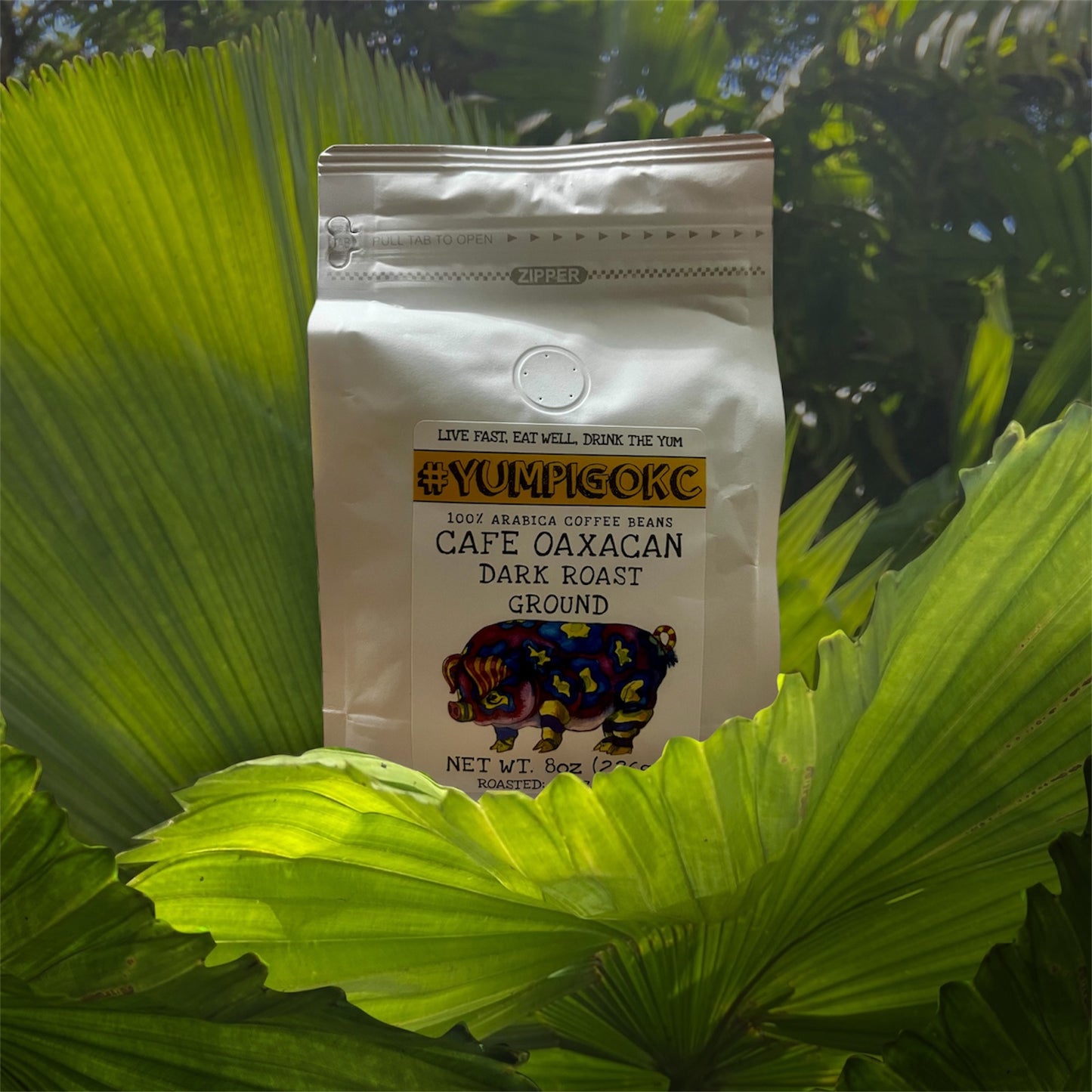 YUM PIG Coffee - Cafe Oaxacan