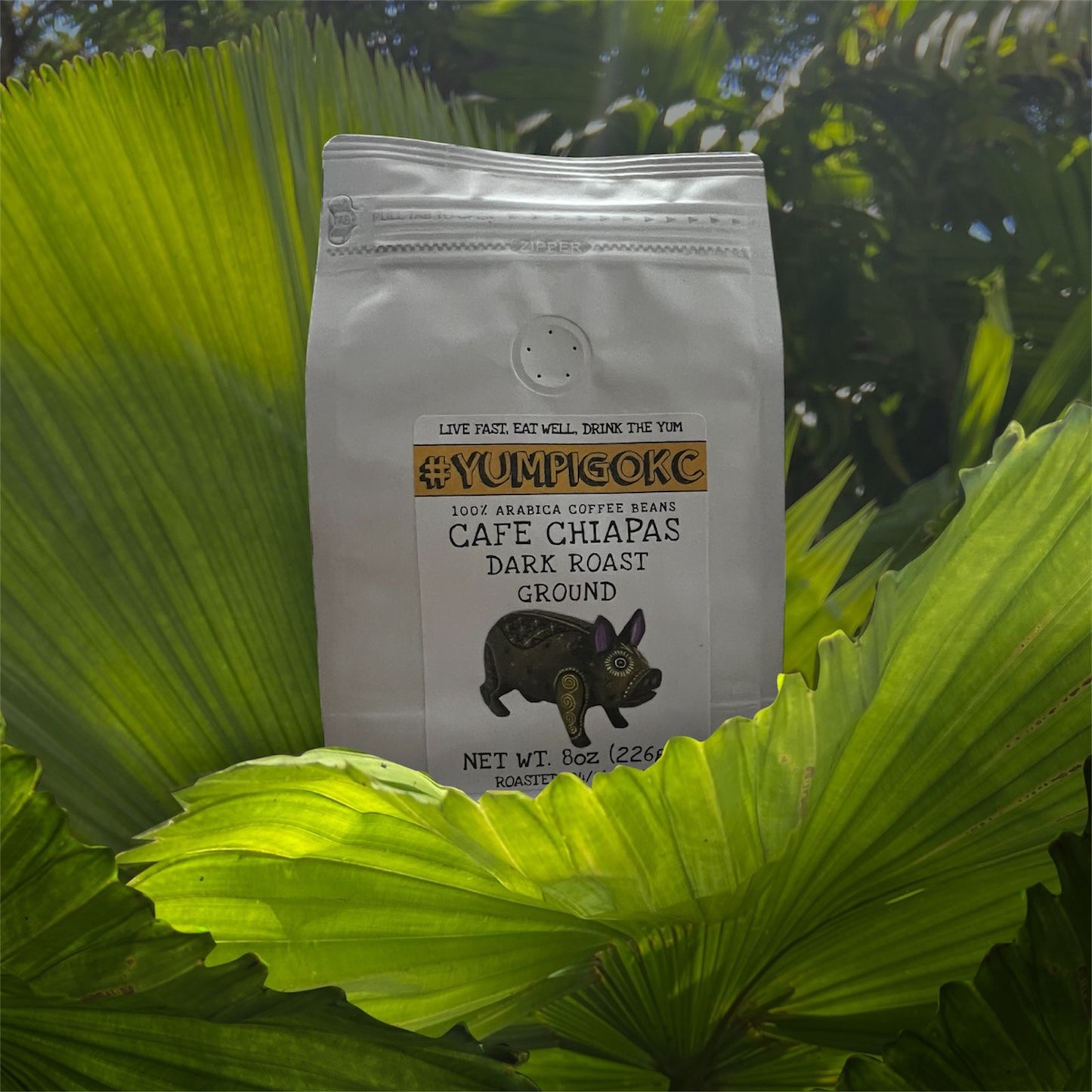 YUM PIG Coffee - Cafe Chiapas